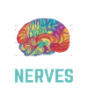Parkinsons kommer på mine nerver Parkinsons sygdom