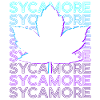 Sycomore Rétro