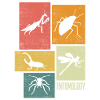 Entomology Entomologist Insects Silhouettes