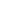 Cyber Security Professional Expert Hacker