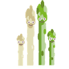 asparagus family,asparagus,white asparagus,family