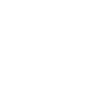 Expert en cybersécurité Hacker éthique