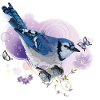 Blue Chara
