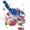 Blue Chara