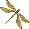 Libellule