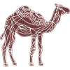 Kamel