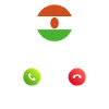 Niger calls lusiger flags saying