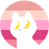 Chat Rétro