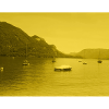 Lake in Yellow
