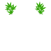 Russian Humor Gift for Smokers Green