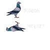 Pigeon Pigeon Cadeau