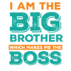 Big Brother Boss