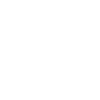 Evolution Basketballer