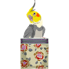 Perroquet Bird Breast Pocket Cockatiel