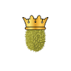 Roi Durian