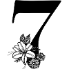 Number 7