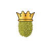 Reine Durian
