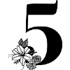Numéro 5