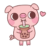 Il maialino carino ama bere Bubble Tea