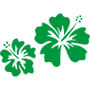 Hibiscus vert