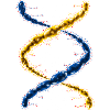 Print DNA english 4black