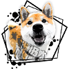 Shiba inu