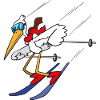 Ski Vogel