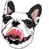 French bulldog tongue