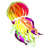Bunte Qualle