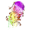 Bunte Qualle