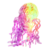 Bunte Qualle