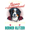 Berner Sennenhund Glitzer Haare