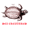 Schildkröte (Tortoise) - Sea Creatures