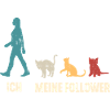 Ich Meine Follower Katzen