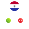 Paraguay calls lusiger flags saying
