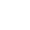 Agile Werte
