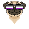 Asexuel Lgbt Carlin Asexualité