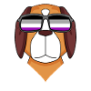 Asexual Lgbt St. Bernard Asexuality