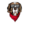 Bernhardinerhund mit amerikanischer Sonnenbrille und