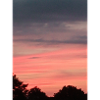 Sun Sunset Trees Pink Clouds