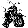 CRYPTIC CROWS