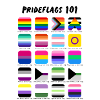 Pride Flags 101