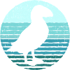 Papageientaucher Puffin Papageitaucher