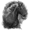 Horses motif