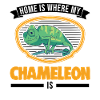 Chameleon Home Chameleon