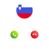 Slovenia calls lusiger flags slogan