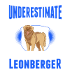 Leonberger Mann