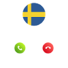 Sweden calls lusiger flags