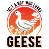 Oies Jeune oie éleveuse oie