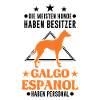 Galgo Espanol Personal Spanischer Windhund